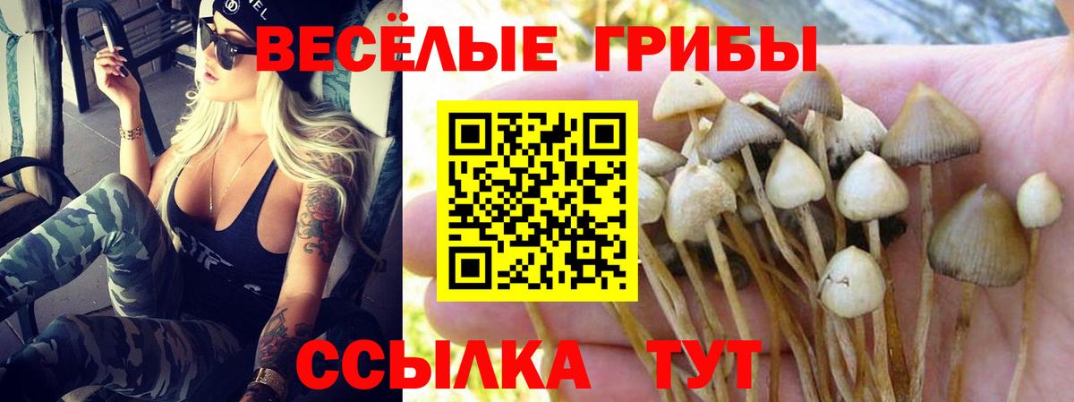 Воркута  Галлюциногенные грибы ЛСД  наркошоп  Вход с VPN  Галлюциногенные грибы GOLDEN TEACHER 